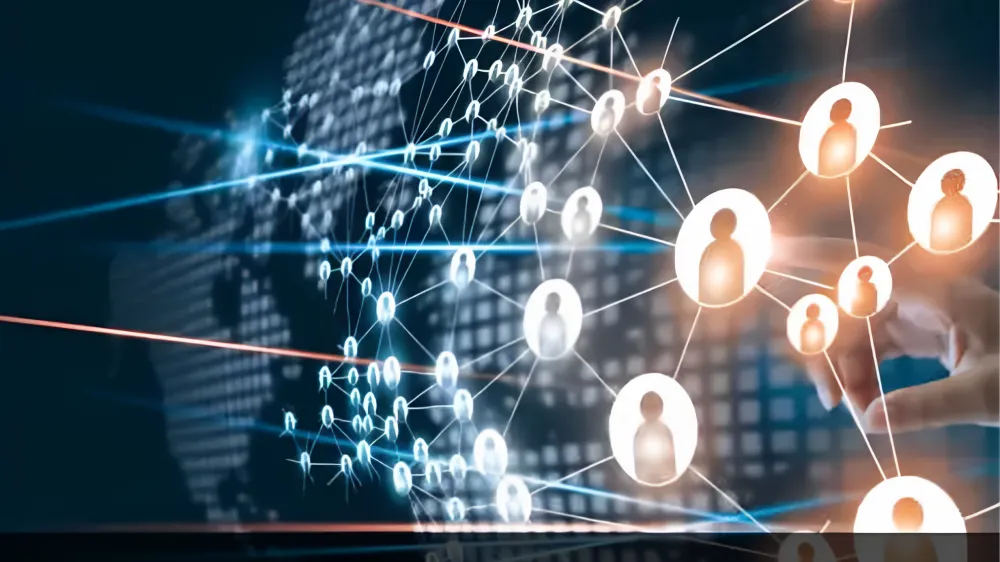 crew disquantified org